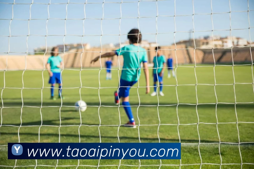 球盟会 - 网页版|登录 - 球盟会平台生态图